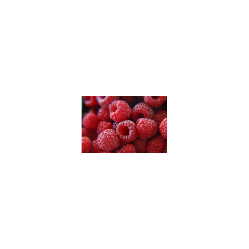 Framboises bio (Dynamis) 125g