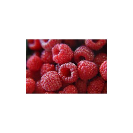 Framboises bio (Dynamis) 125g