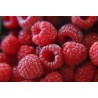 Framboises bio (Dynamis) 125g
