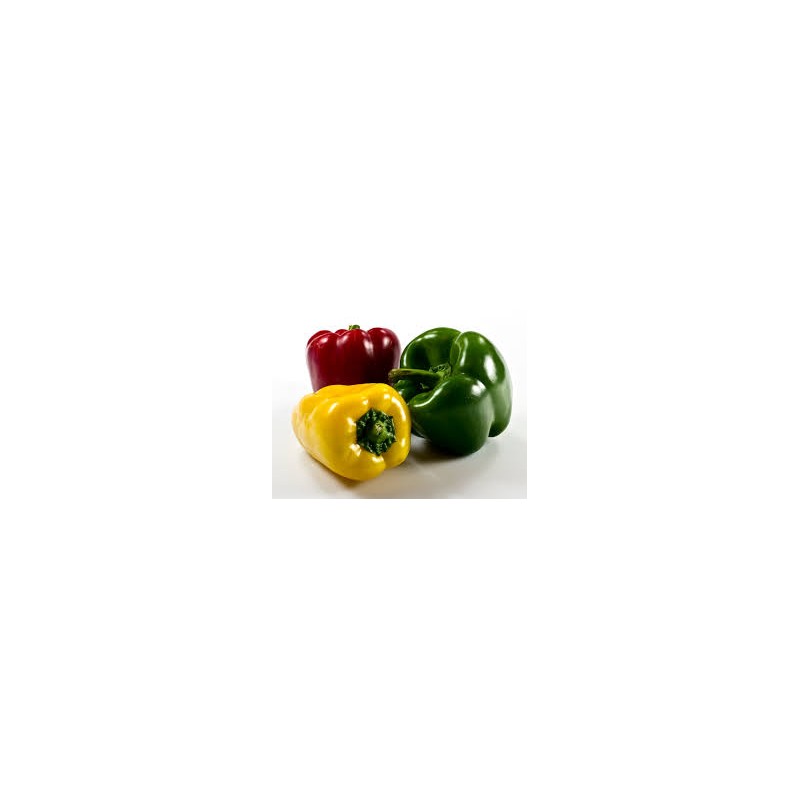 Poivrons mixes bio (HanSO)