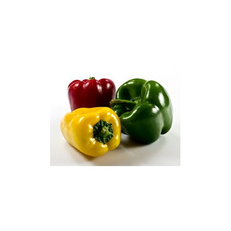 Poivrons mixes bio (HanSO)