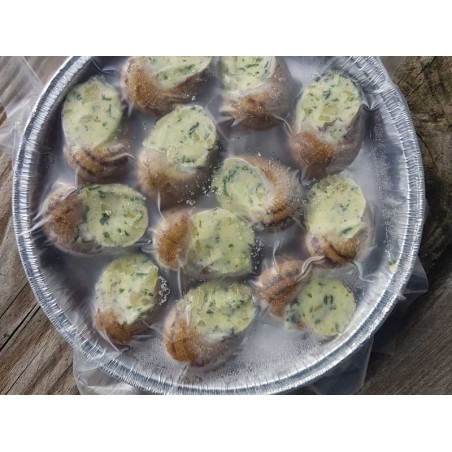 Escargots en coquille (JOLYCAG) 12 escargots