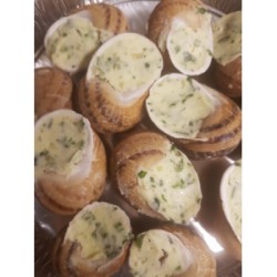 sachet 50 coquilles (JOLYCAG) 50 coquilles