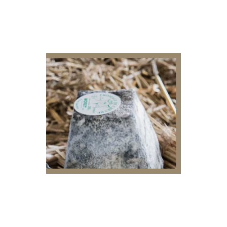 Pyramidon cendré (FMORET) 130 gr