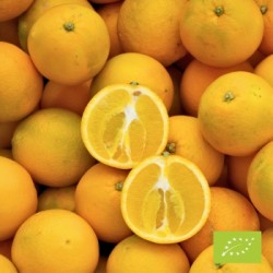 Oranges Navelina (FBrie) kg