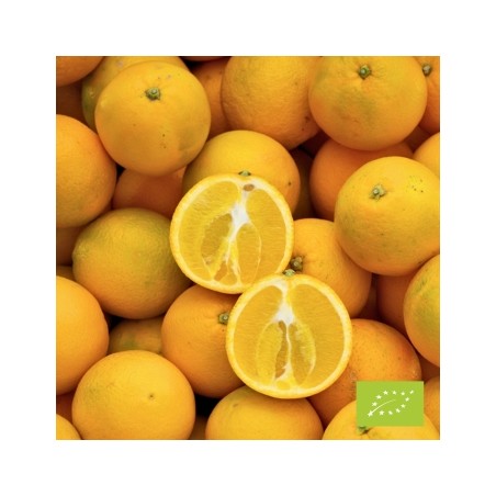 Oranges Navelina (FBrie) kg