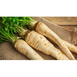 Panais bio (Dynamis) kg