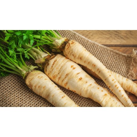 Panais bio (Dynamis) kg