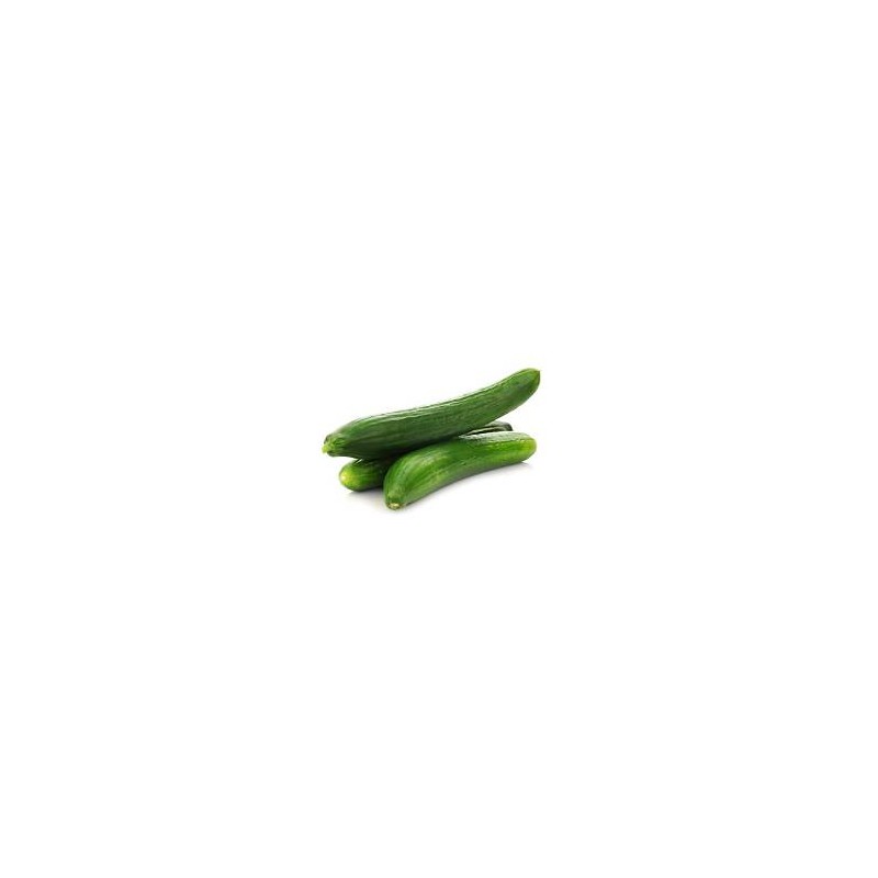 Concombre long (Dynamis) /pièce