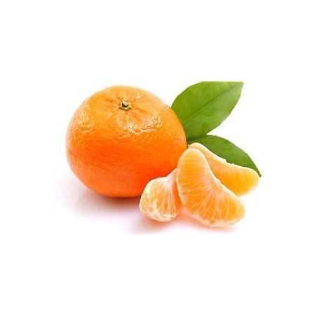 Mandarines Satsuma (Dynamis) /kg